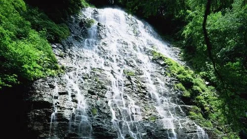 绿色绿色精密